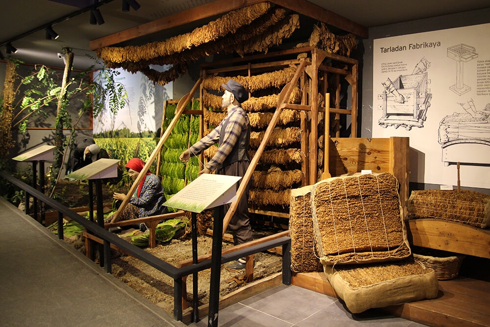 Samsun City Museum - Tourism Map