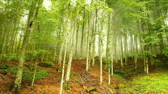Nebiyan Plateau - Tourism Map